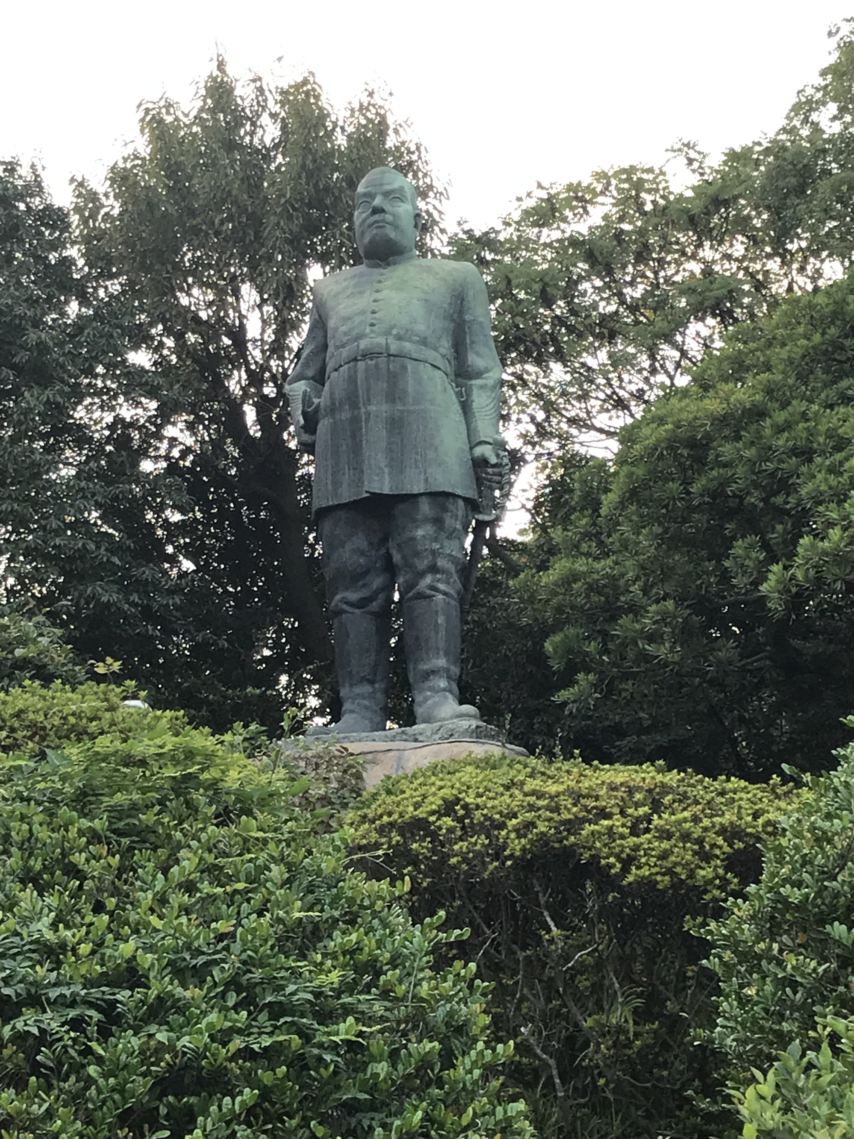 せごどん